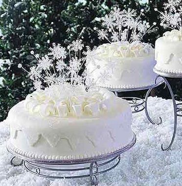 A blanket of fresh white snow is the perfect backdrop for wedding pictures